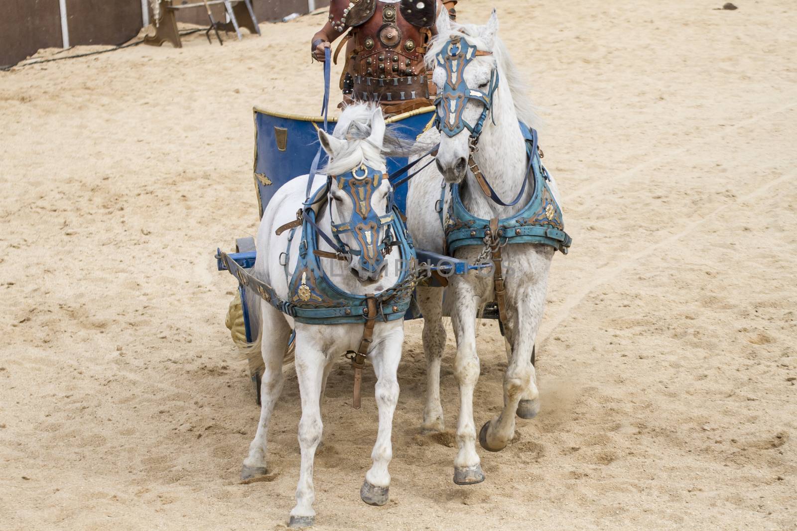 Roman chariot in a fight of gladiators, bloody circus