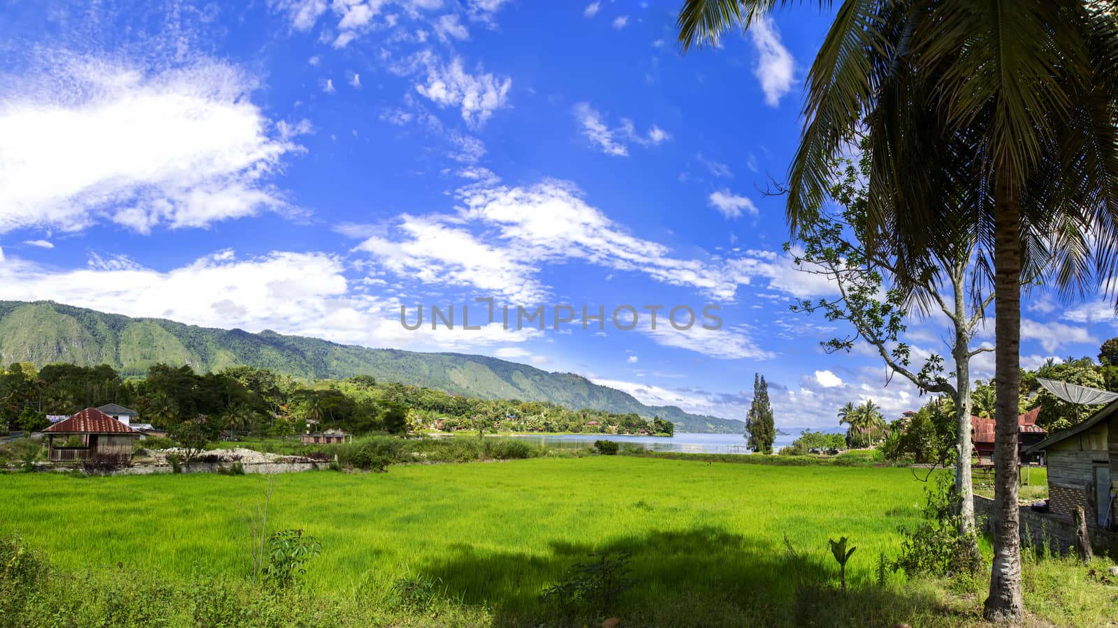 Samosir Landscape. by GNNick