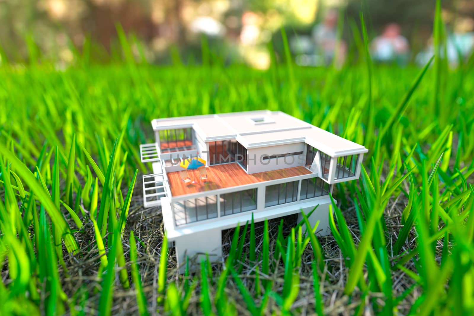 House on the green grass close up view