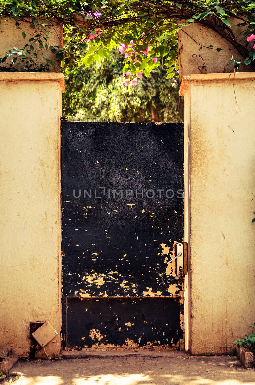 Weathered black garden door, sepia toning