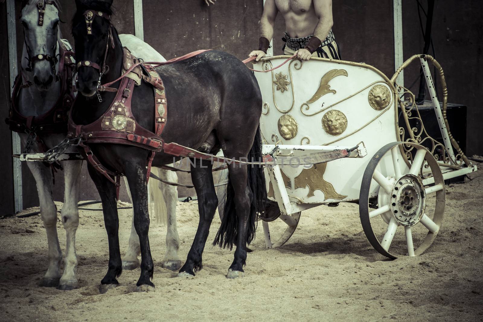 War, Roman chariot in a fight of gladiators, bloody circus