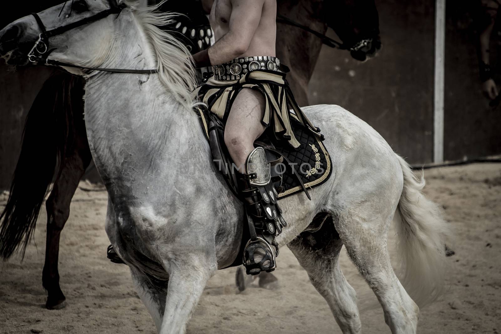 White horse, Roman chariot in a fight of gladiators, bloody circ by FernandoCortes