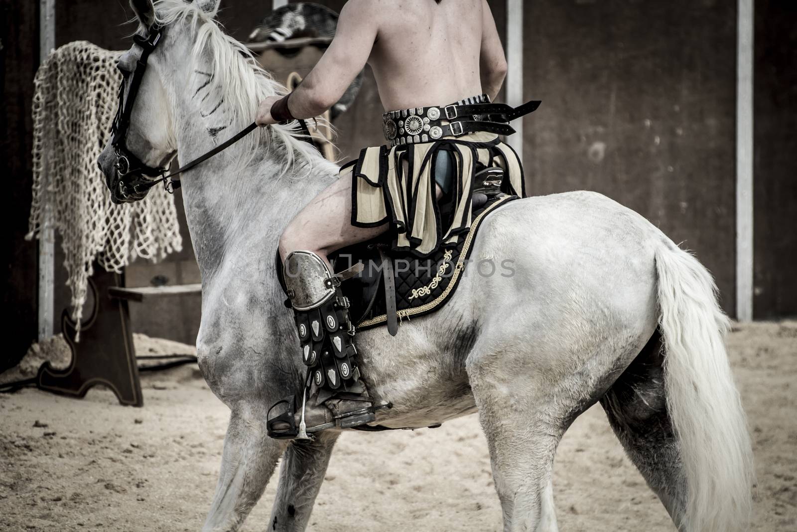 Beautiful white horse, Roman chariot in a fight of gladiators, b by FernandoCortes