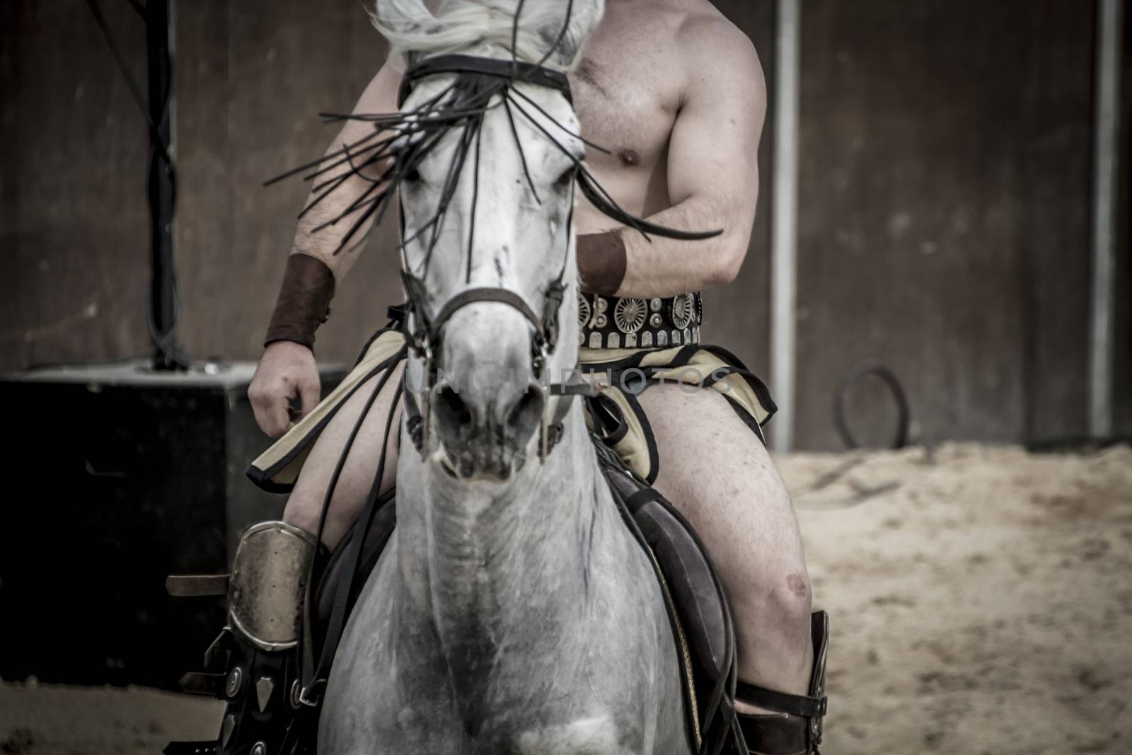 Beautiful white horse, Roman chariot in a fight of gladiators, b by FernandoCortes