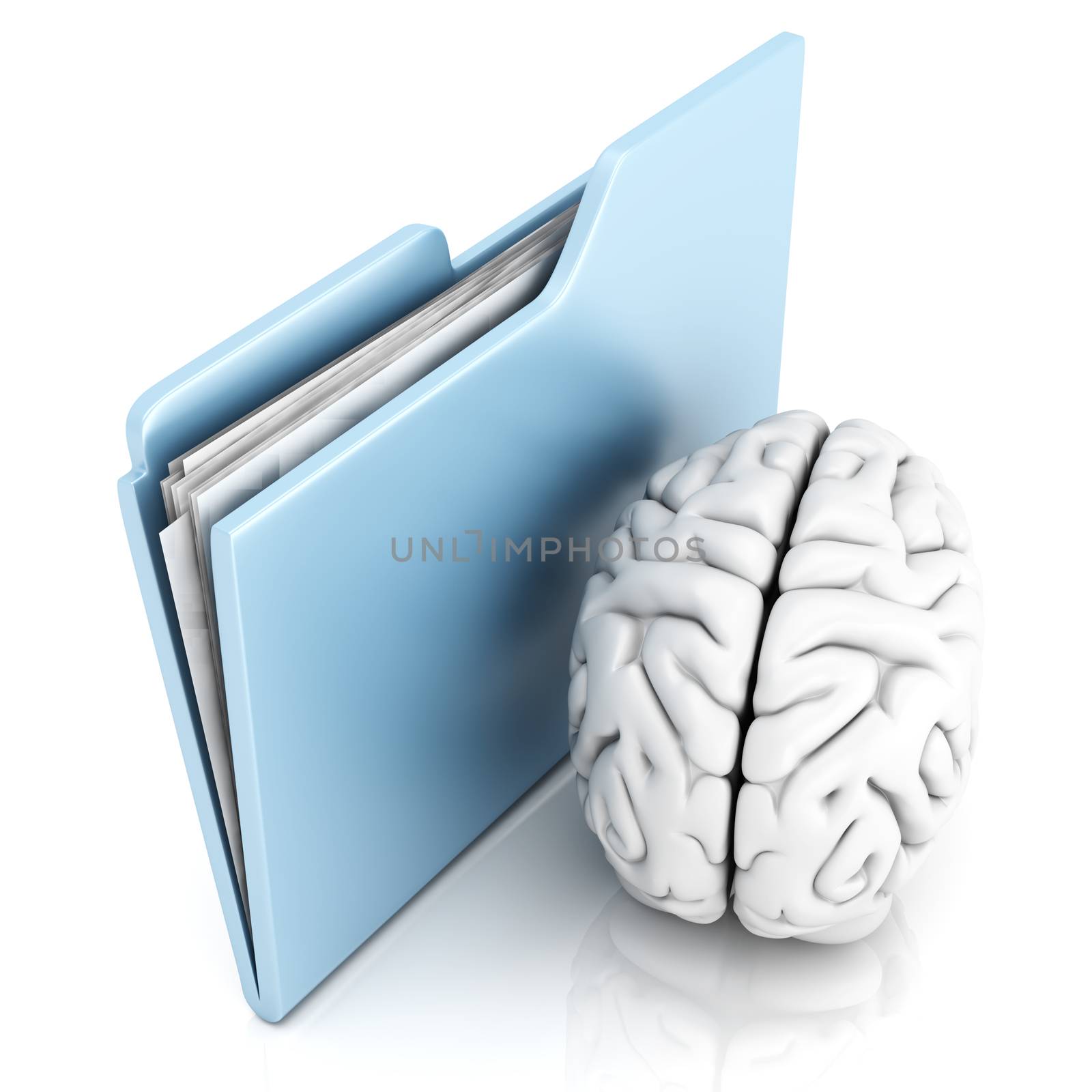Brain and a Folder. 3D illustration.