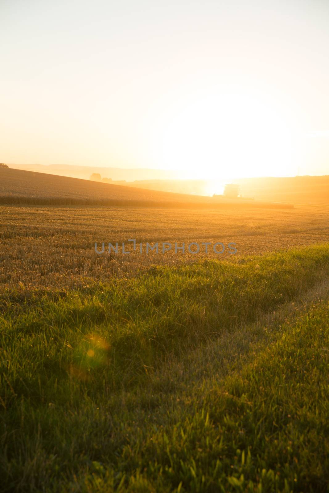 A field getting harvested by a agricultural machine.