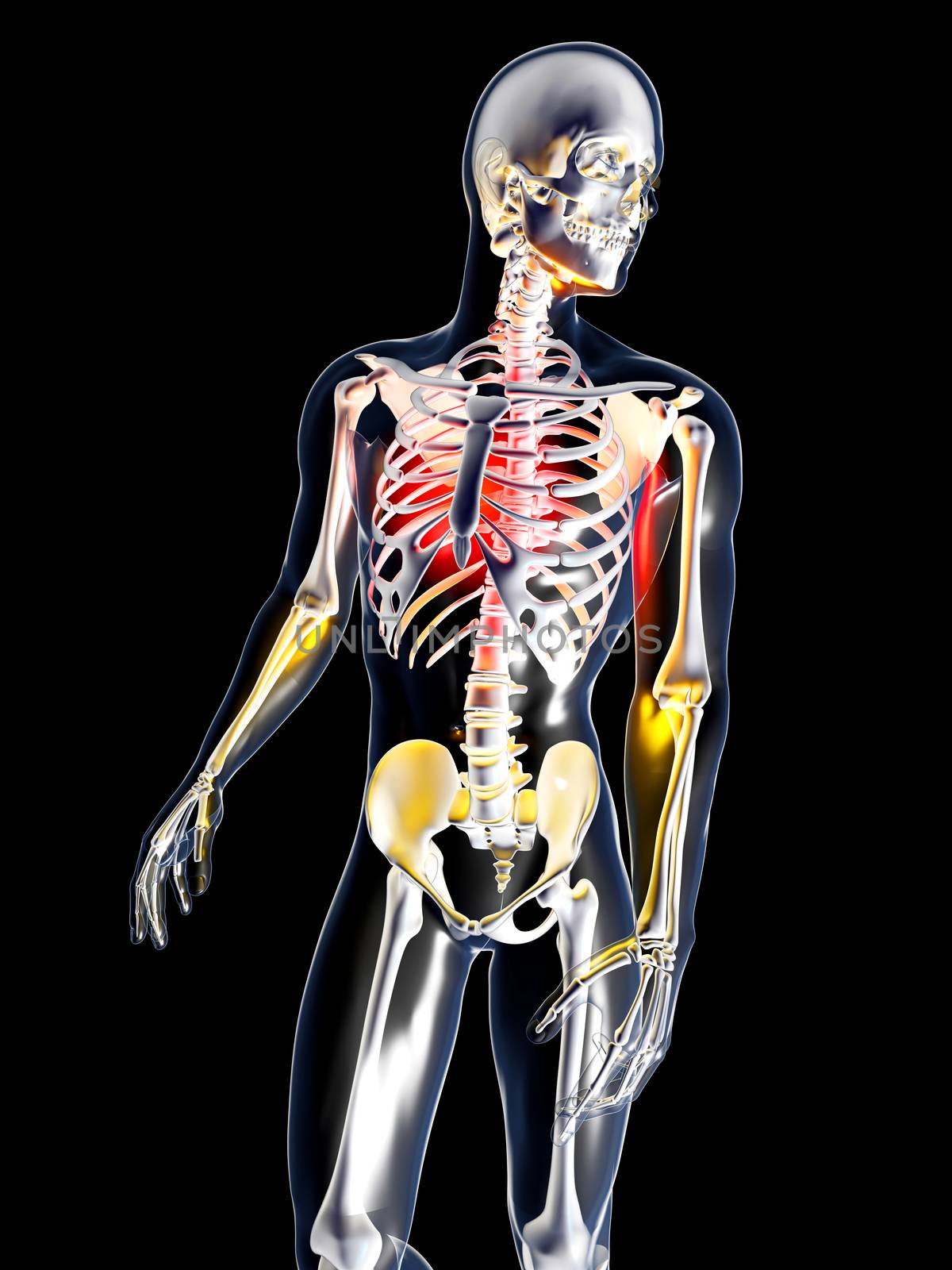 Pain in the Chest or the heart. 3D rendered illustration. Isolated on black.