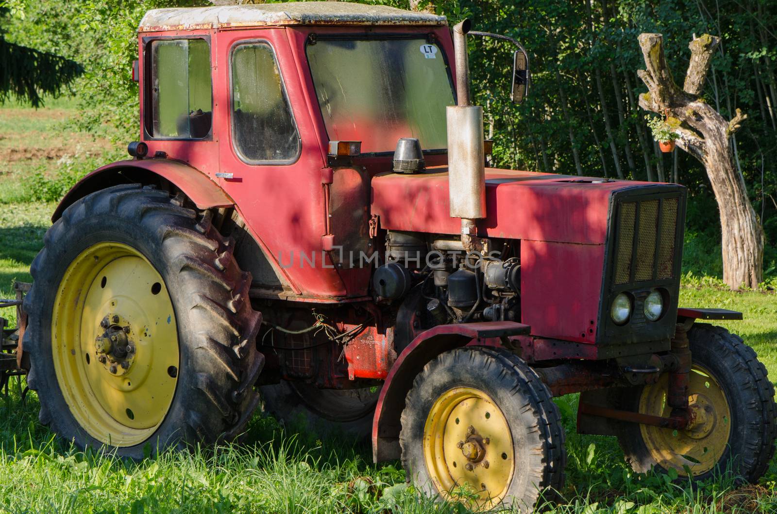 rural red old farm tractor outdoor by sauletas