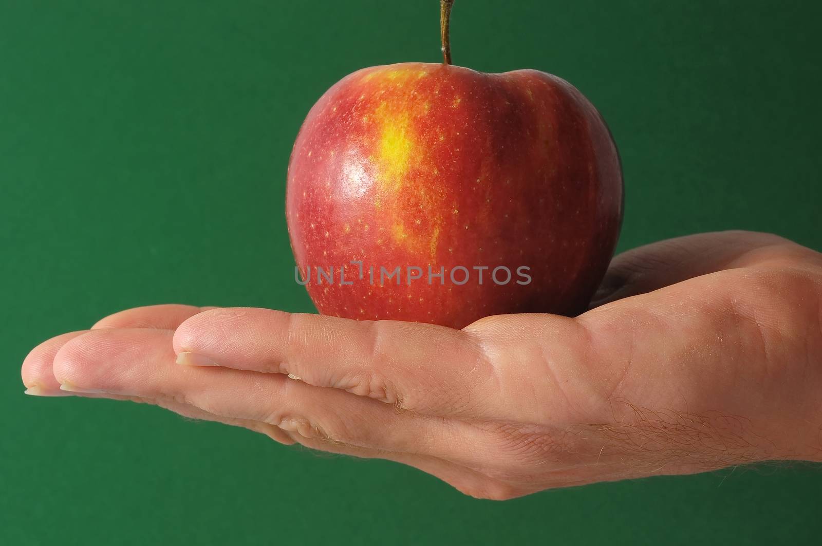 An Apple the Hand on a Colored Background