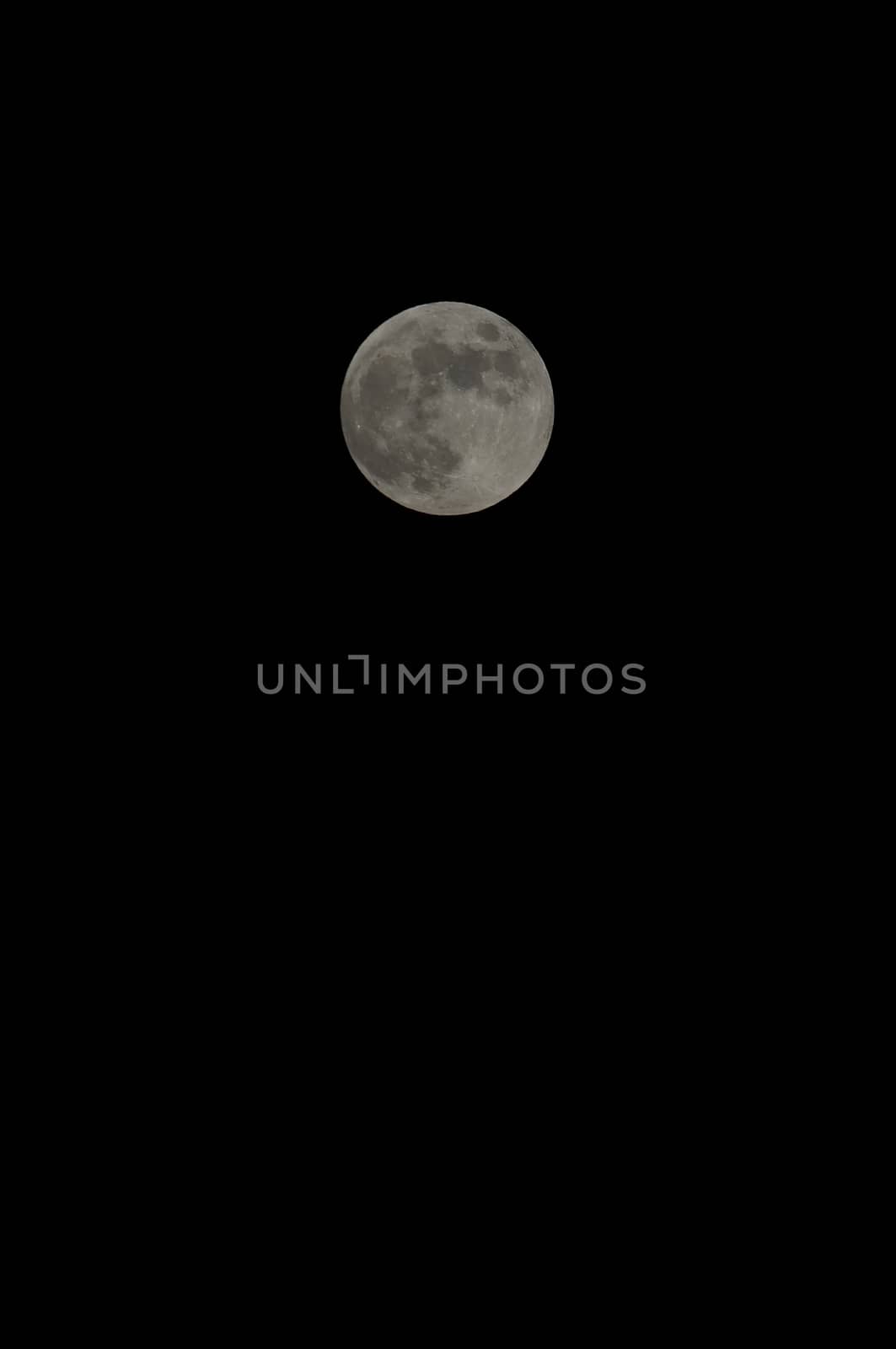 Close up of Full Moon Against a Black Sky