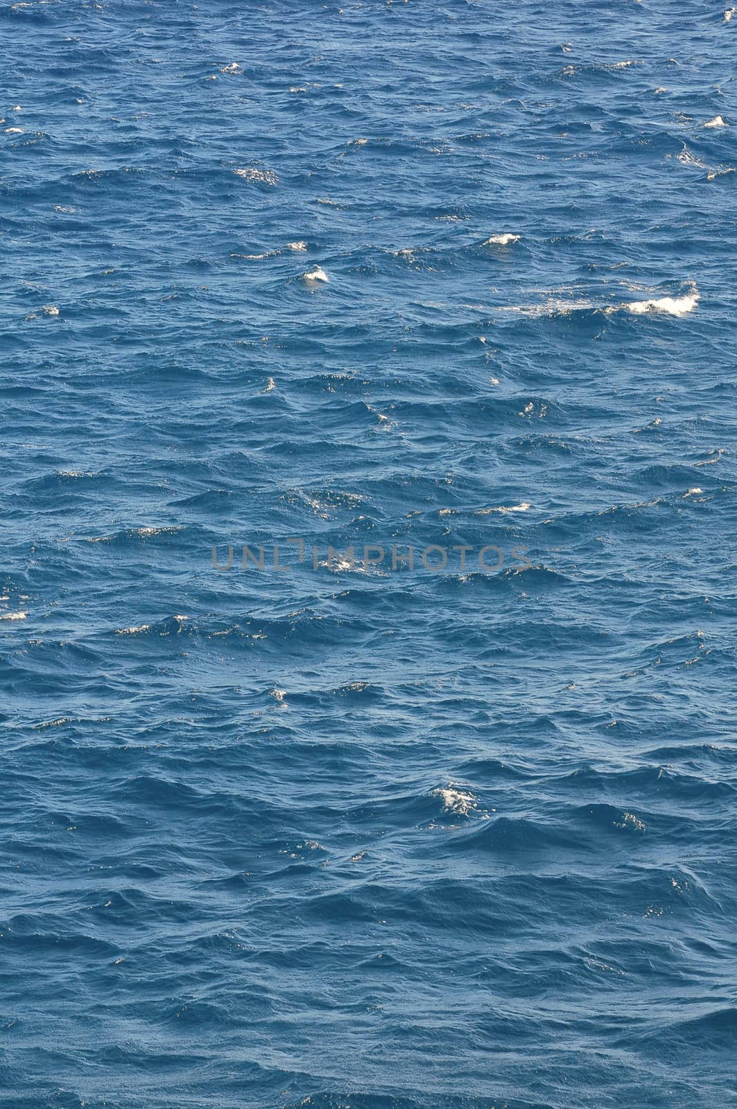 Water Texture Deep Blue Ocean Surface with Waves