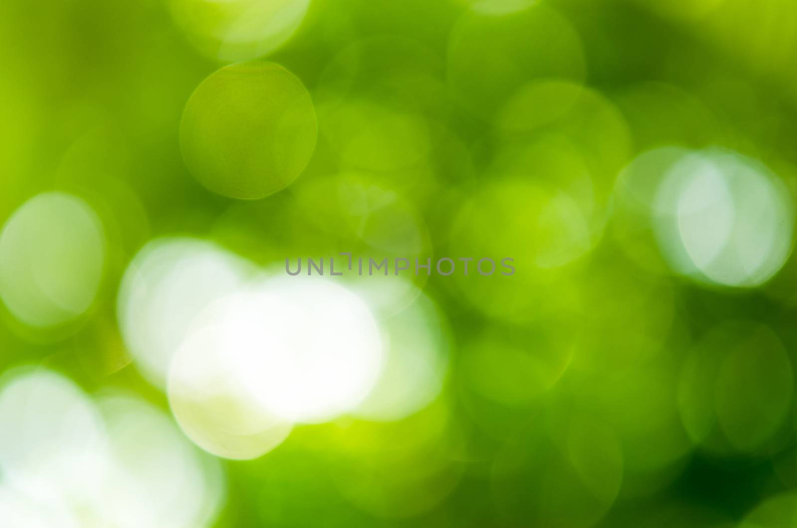 A green bokeh the picture as wallpapers.
