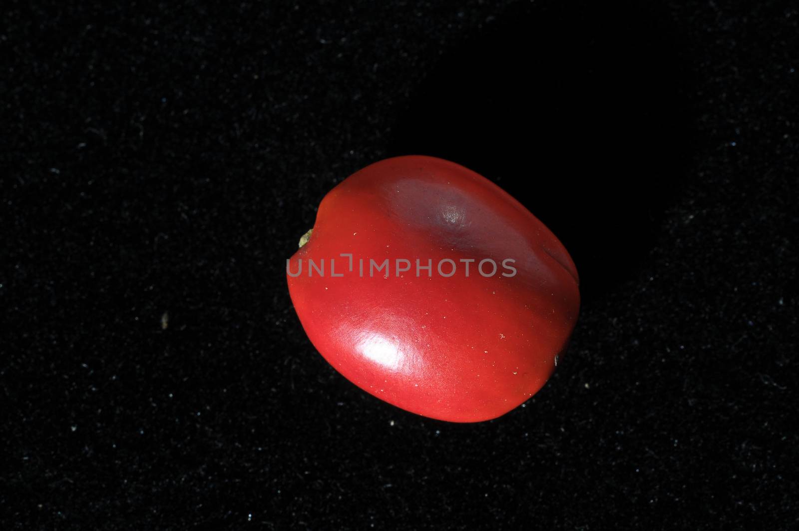 Colored Round Seeds Ready to make Handmade Jewelry