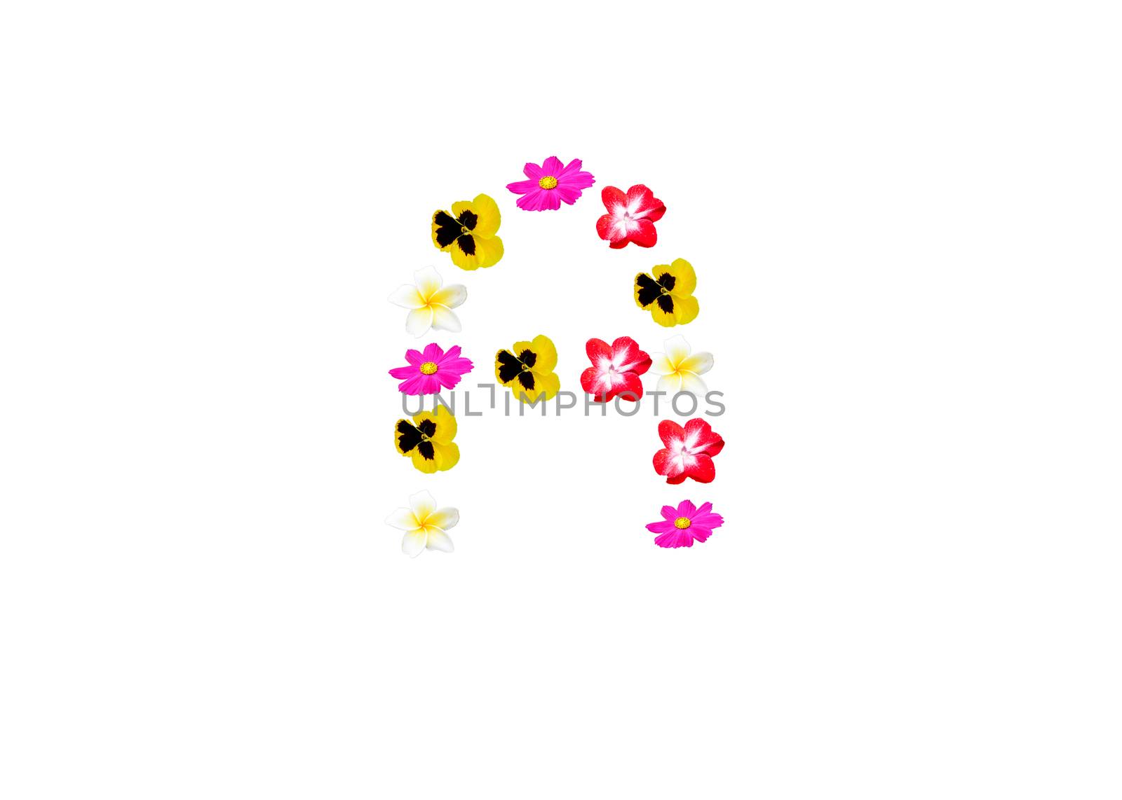 flowers font by aoo3771