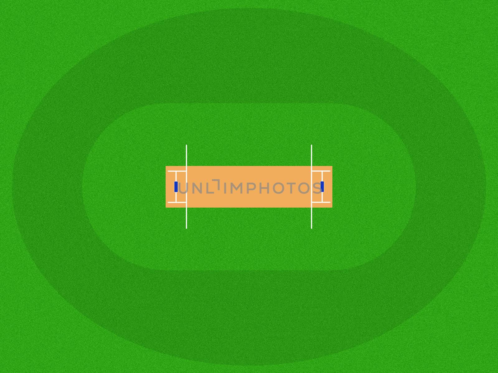 the image model of the cricket field