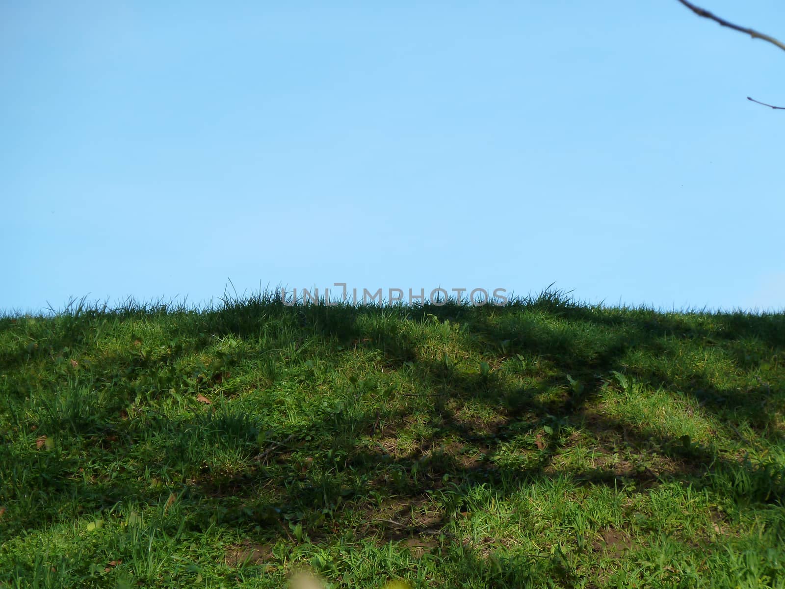 Green grassy slope with tree shadows and blue sky