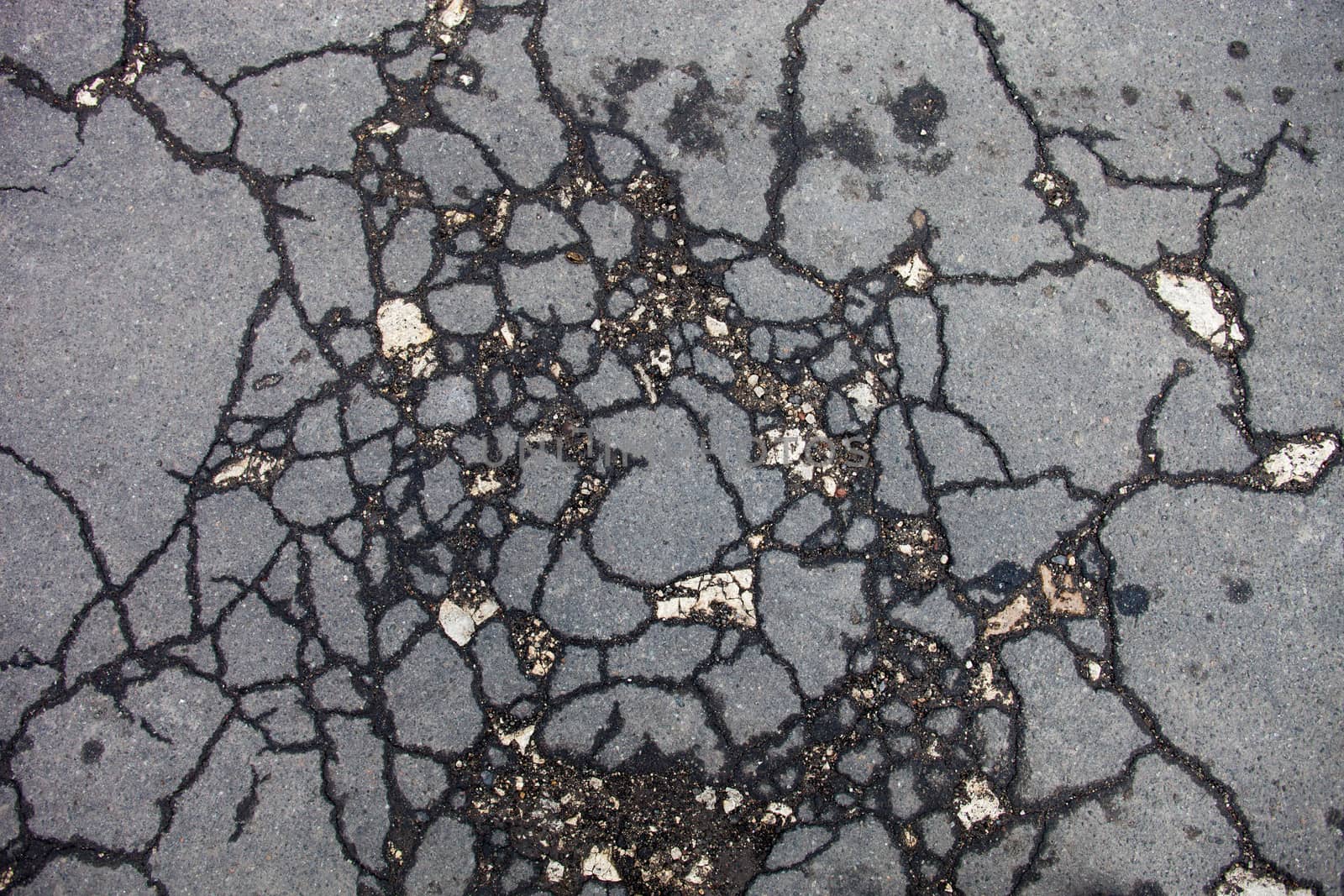 Cracked asphalt surface by rootstocks