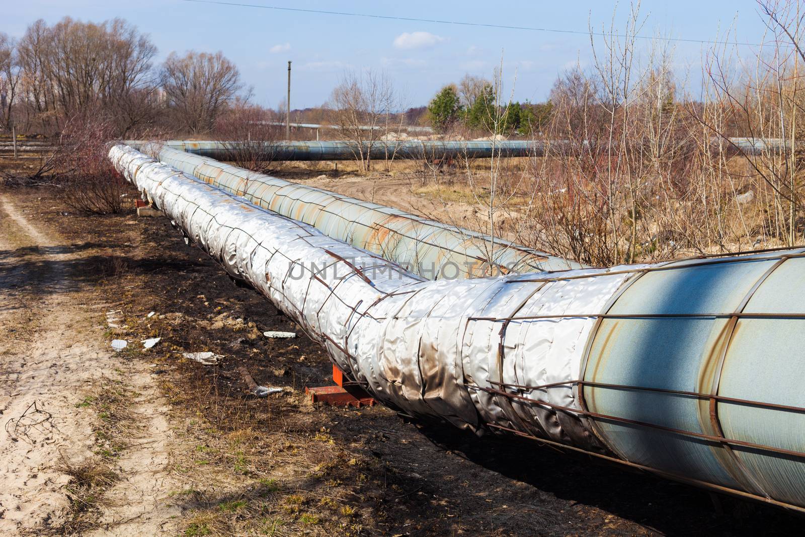 Heating pipelines by rootstocks