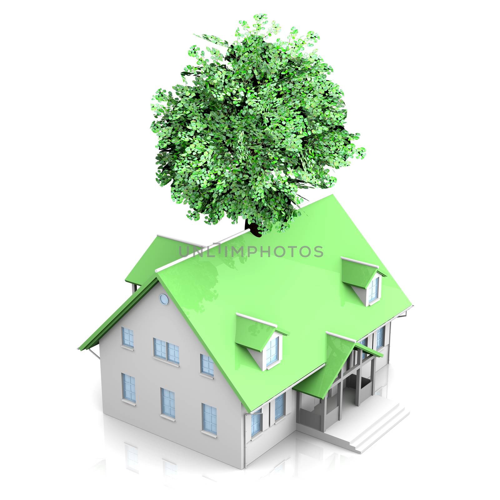 Symbol of environment and ecology. An ecological built house. 3D rendered Illustration.