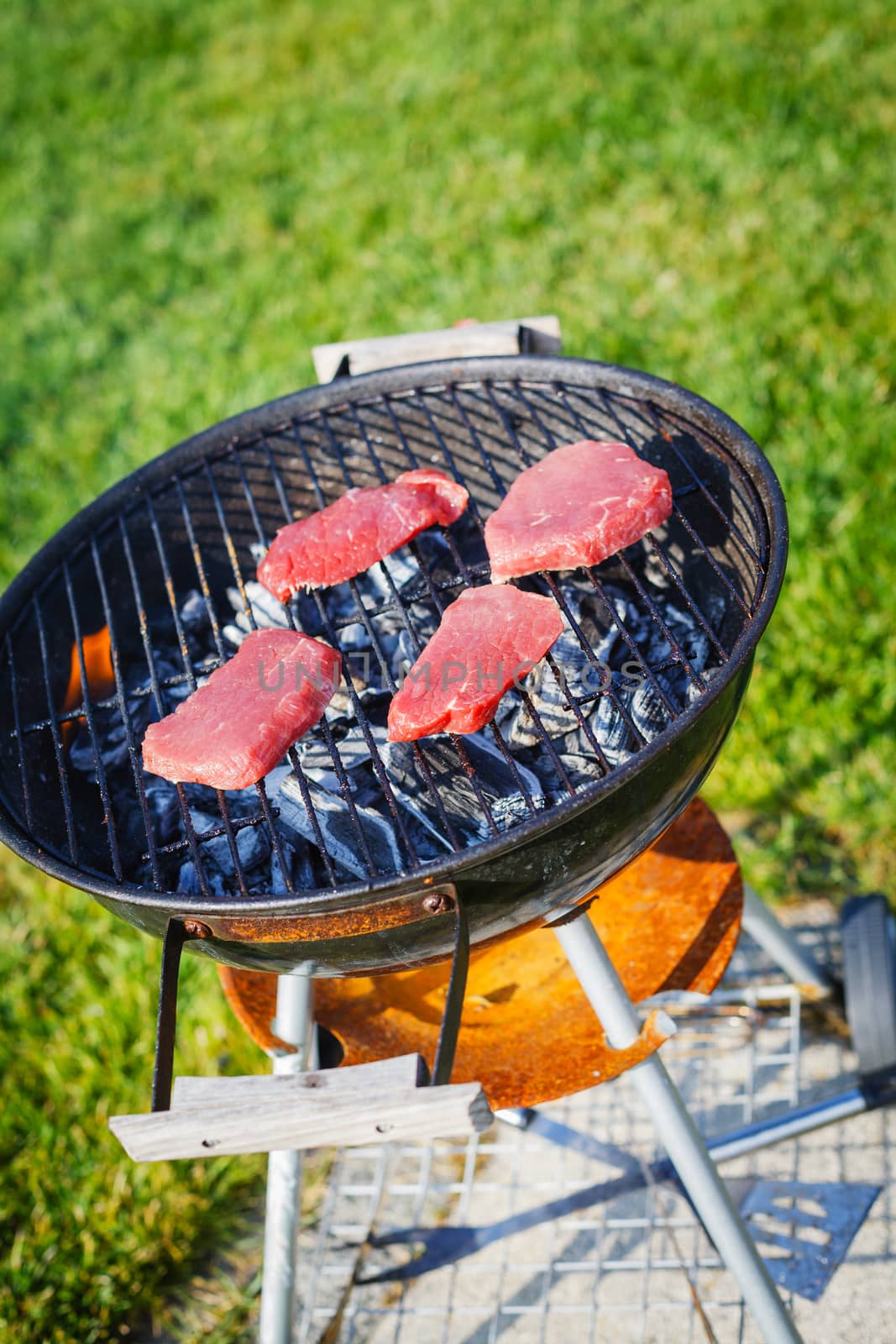 Barbecue on a hot day during the summer vacation on a green grass background. Meat on the grill.