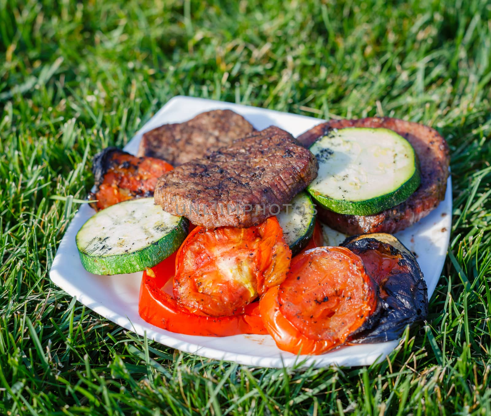 Barbecue on a hot day. Plate of grilled meat and vegetables with green grass background.