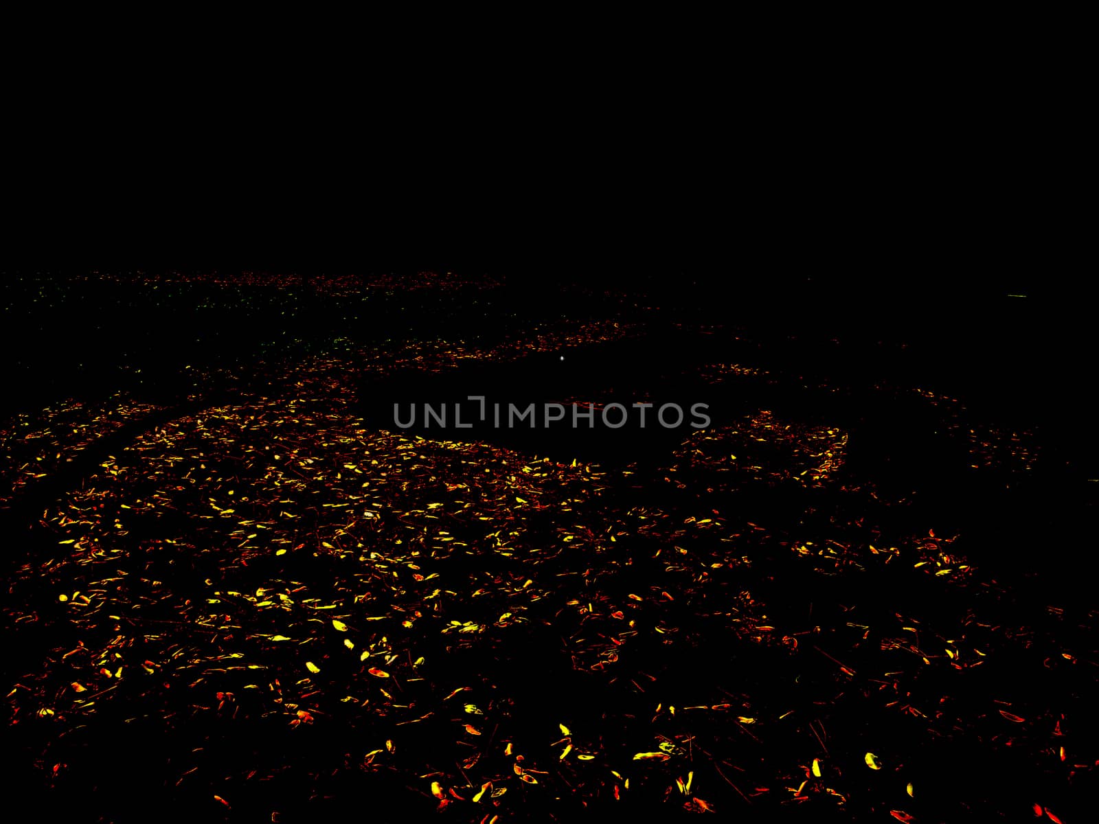 Colorful confetti thrown around, forming a pathway.