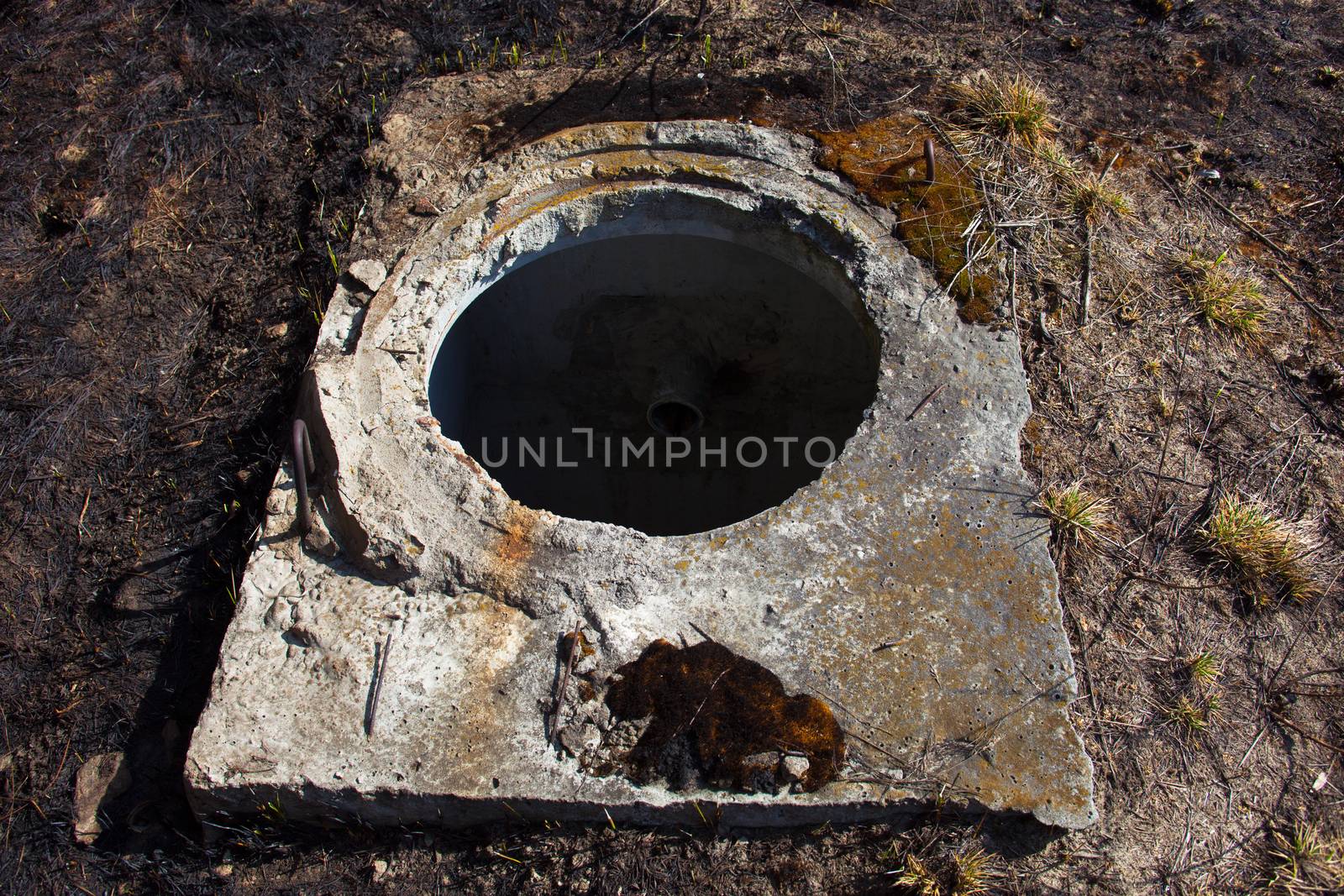 Open manhole without cover by rootstocks