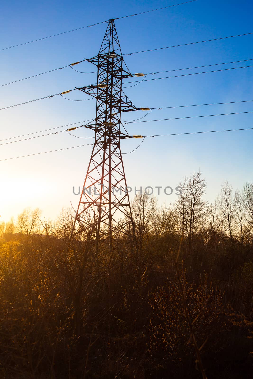 Electricity pylon overgrown with trees at the bottom. Side lighting.