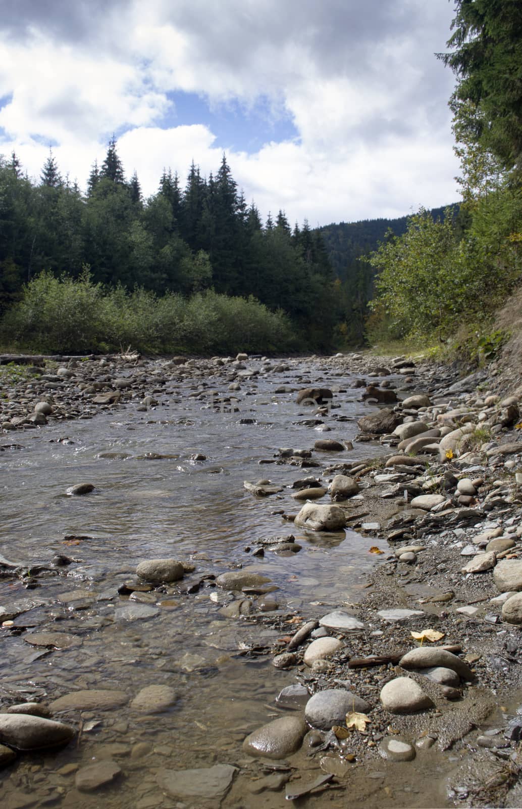 Flowing water of Carpathian mountain stream 