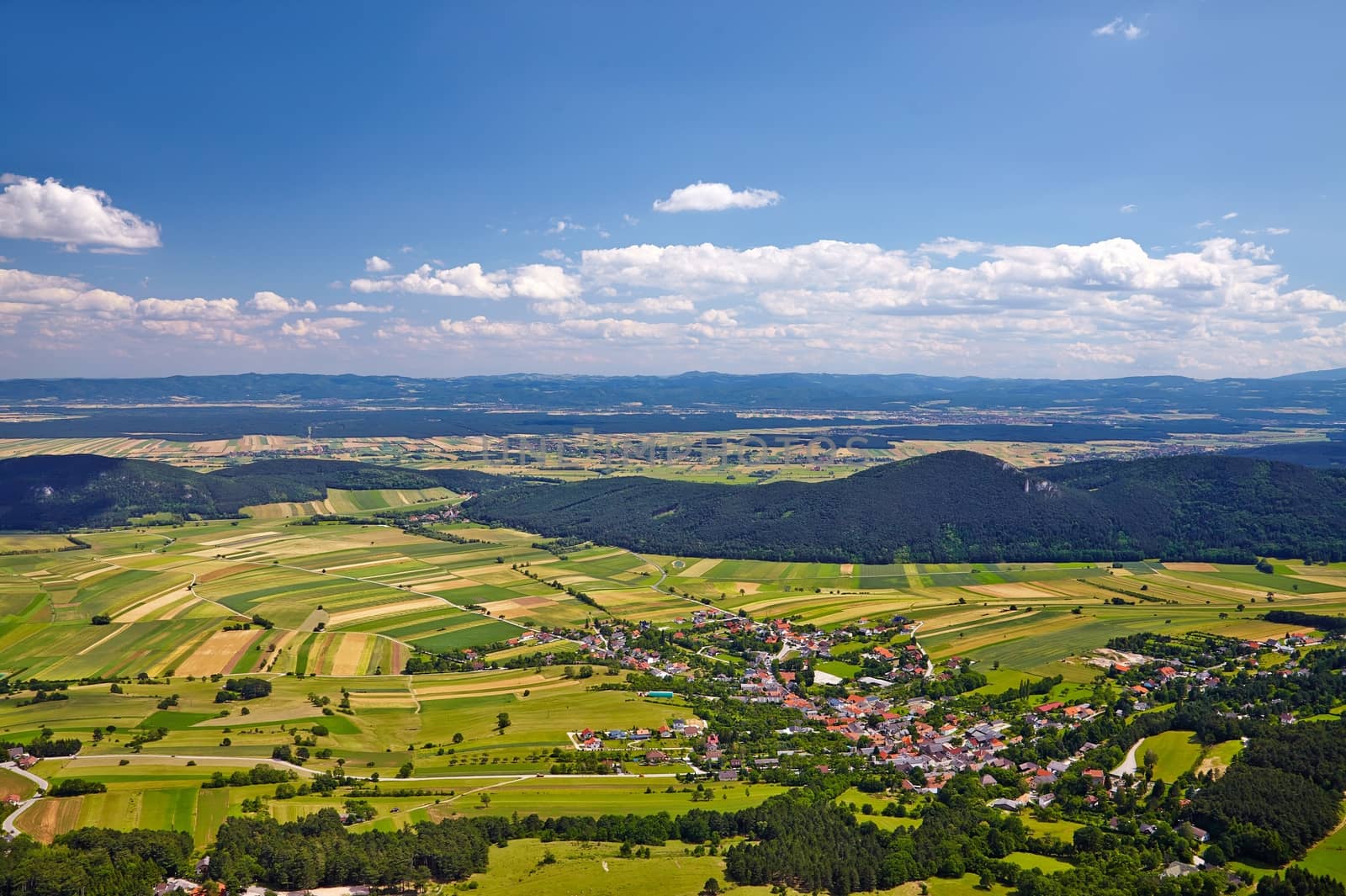 Aerial view of agricultural fields