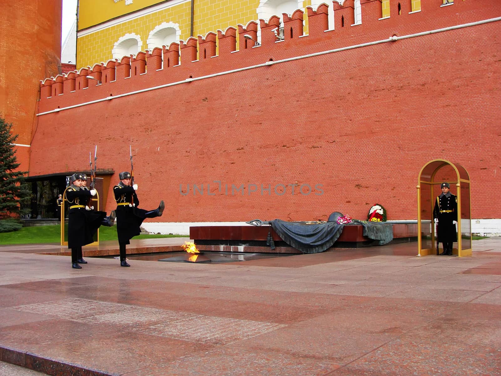 Changing of the Honor Guard Ceremony, Tomb of the Unknown Soldie by donya_nedomam