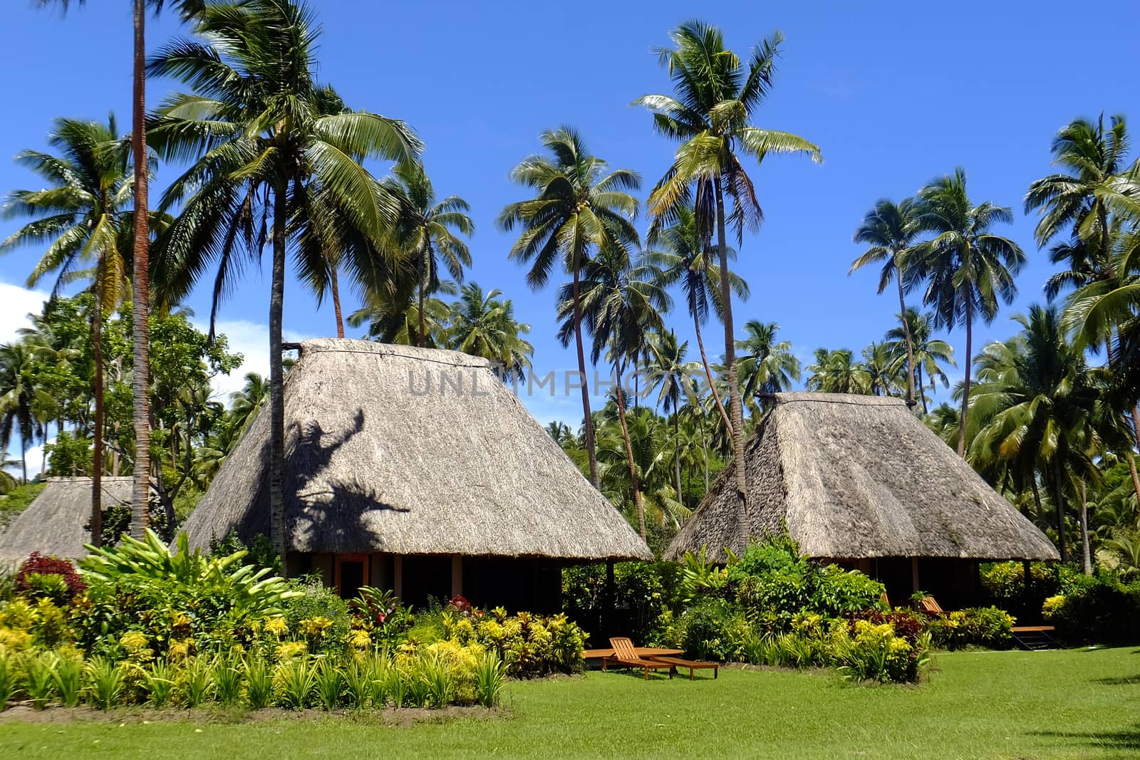 Traditional bure with thatched roof, Vanua Levu island, Fiji by donya_nedomam