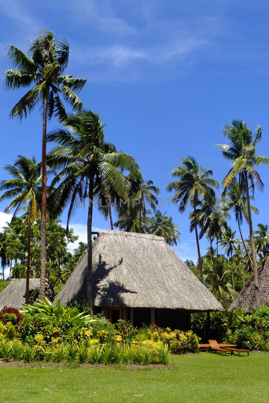 Traditional bure with thatched roof, Vanua Levu island, Fiji, South Pacific