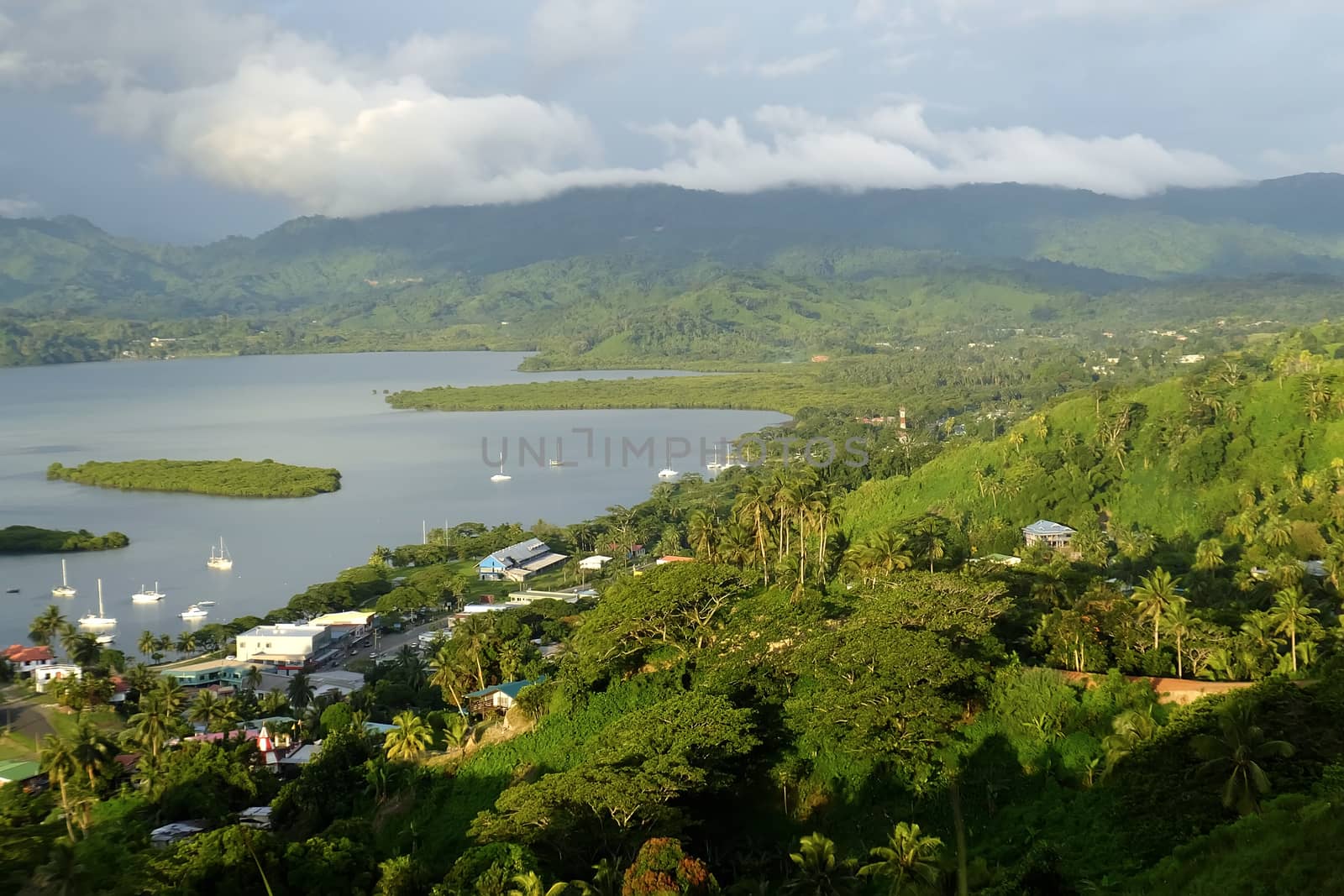 Savusavu marina and Nawi islet, Vanua Levu island, Fiji by donya_nedomam