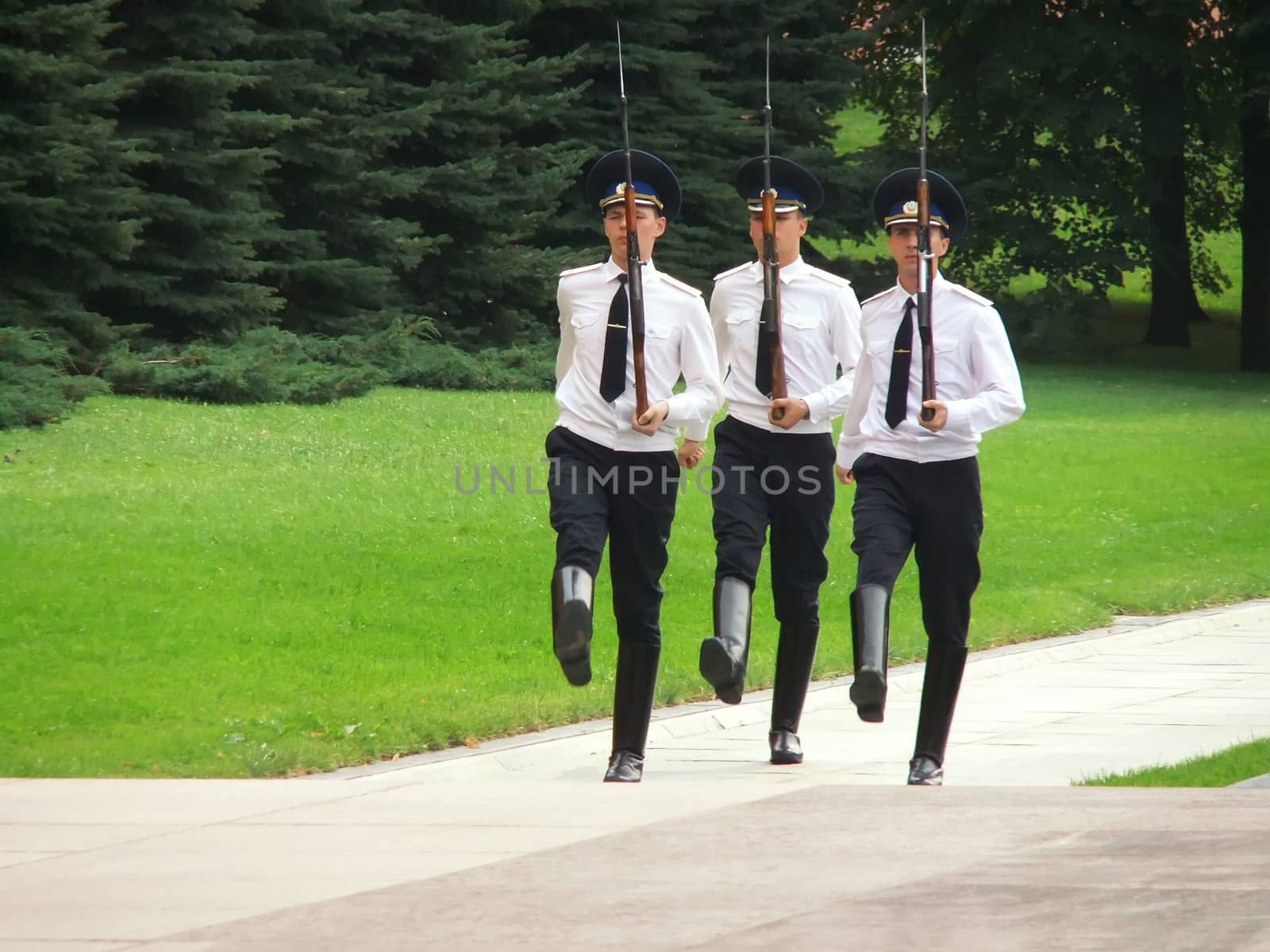 Changing of the Honor Guard Ceremony, Tomb of the Unknown Soldie by donya_nedomam