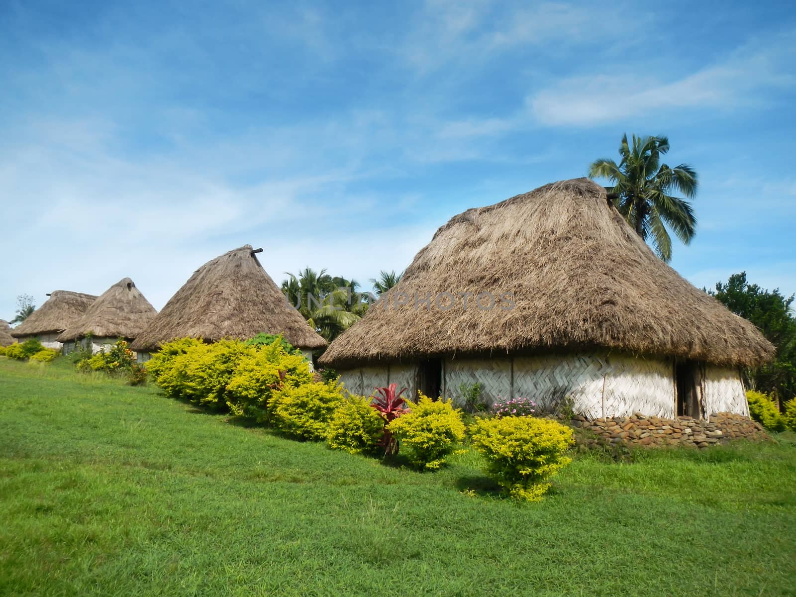 Traditional houses of Navala village, Viti Levu island, Fiji