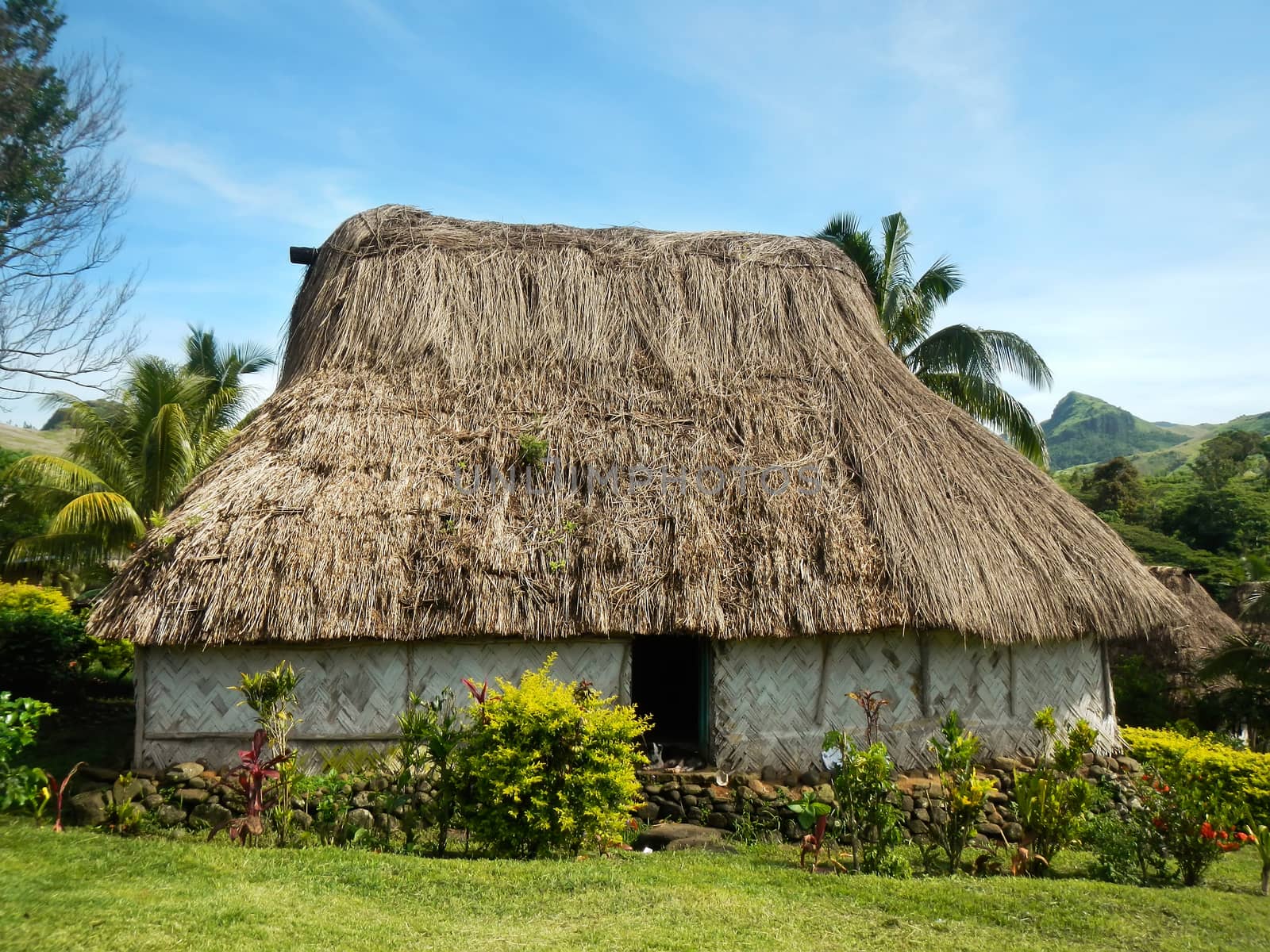 Traditional house of Navala village, Viti Levu, Fiji by donya_nedomam