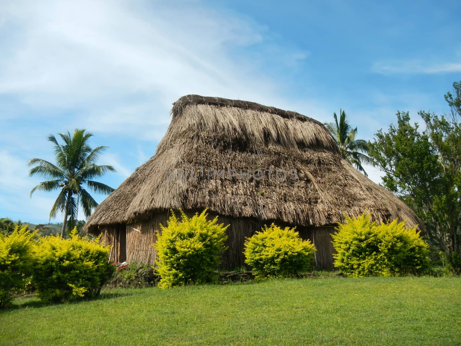 Traditional house of Navala village, Viti Levu, Fiji by donya_nedomam