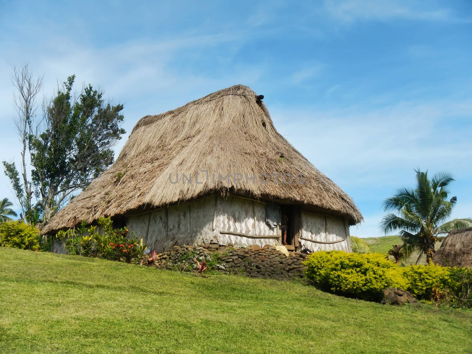 Traditional house of Navala village, Viti Levu, Fiji by donya_nedomam