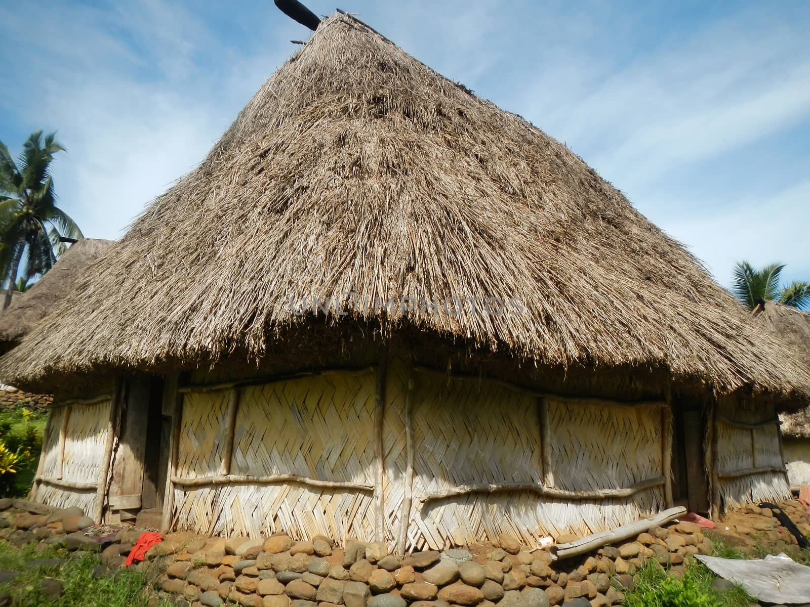 Traditional house of Navala village, Viti Levu, Fiji by donya_nedomam