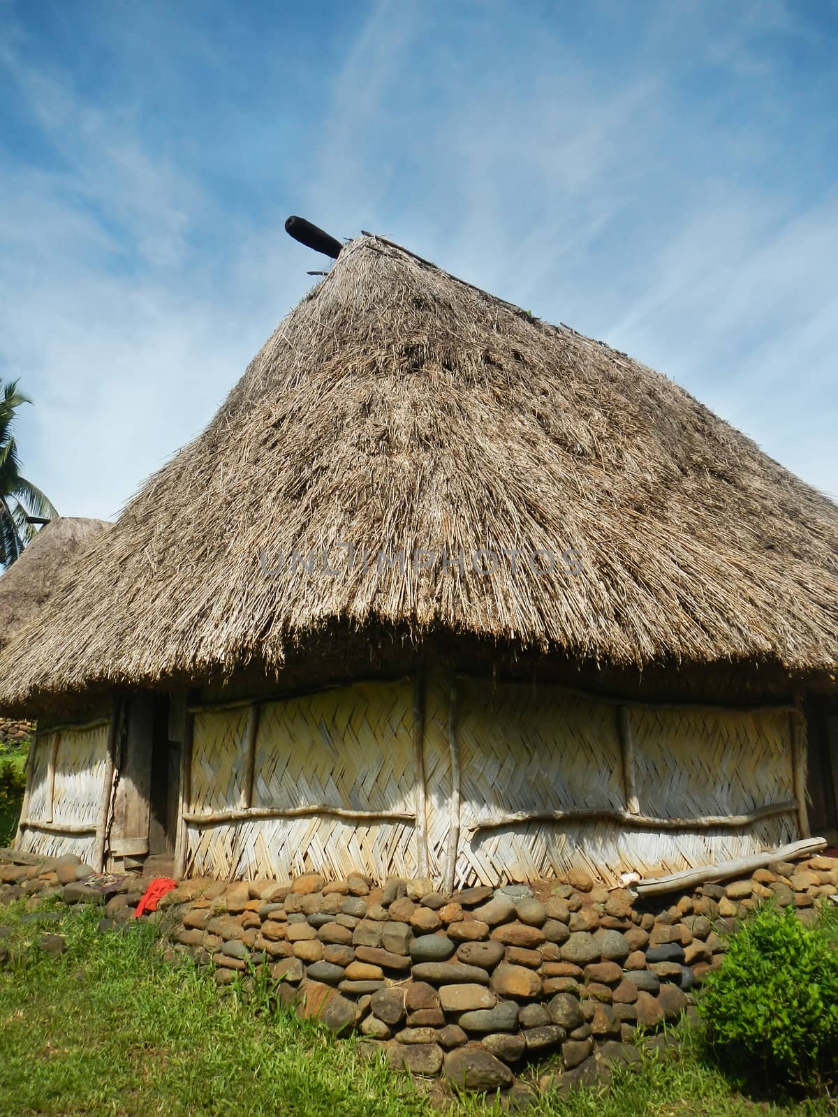 Traditional house of Navala village, Viti Levu, Fiji by donya_nedomam