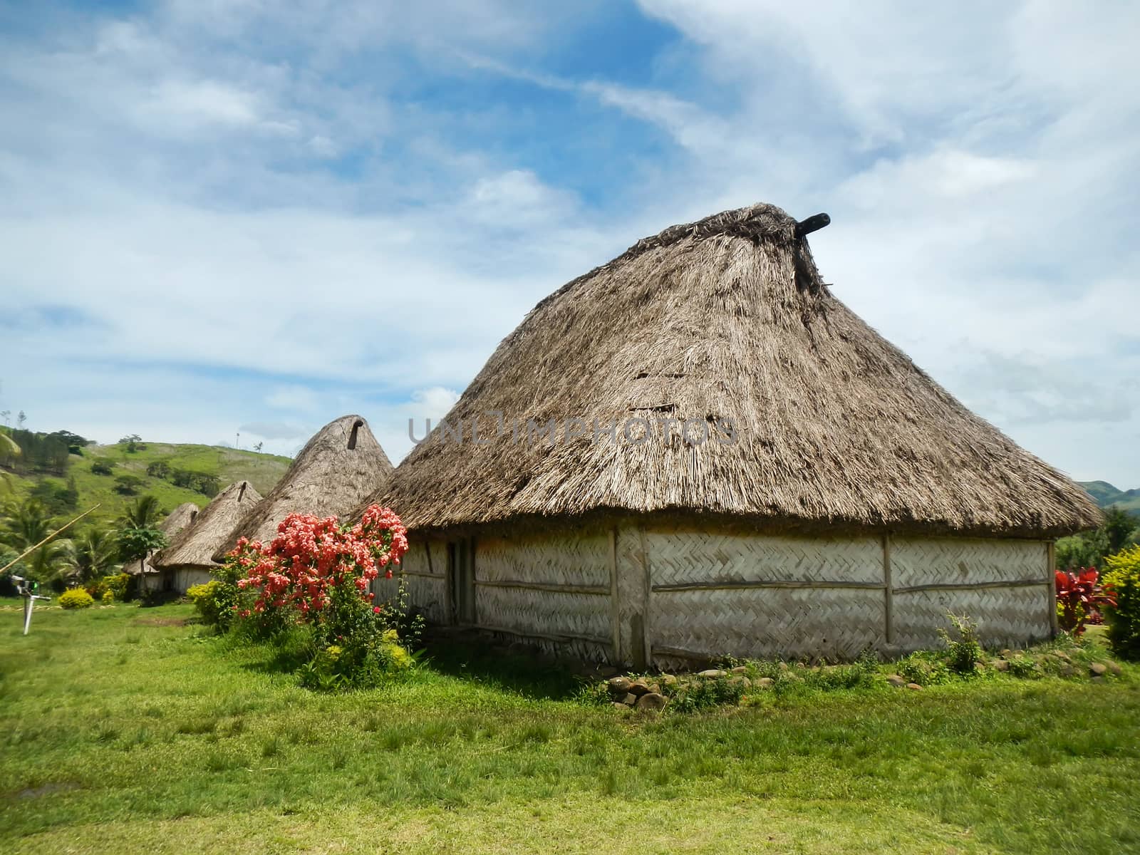 Traditional houses of Navala village, Viti Levu, Fiji by donya_nedomam