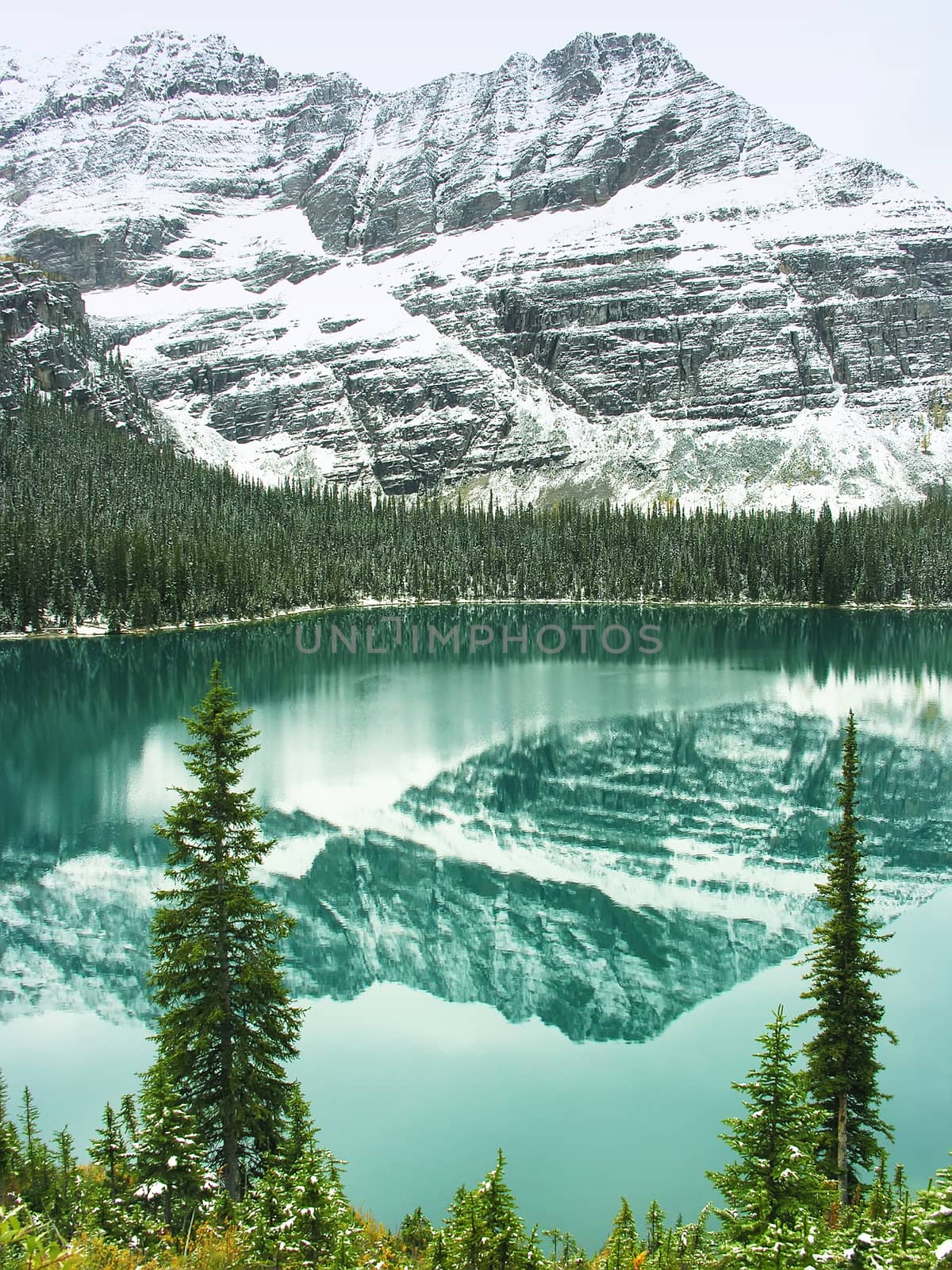 Lake O'Hara, Yoho National Park, British Columbia, Canada