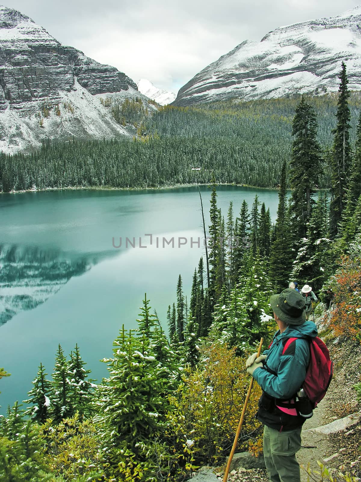 Hiker admiring Lake O'Hara, Yoho National Park, Canada by donya_nedomam