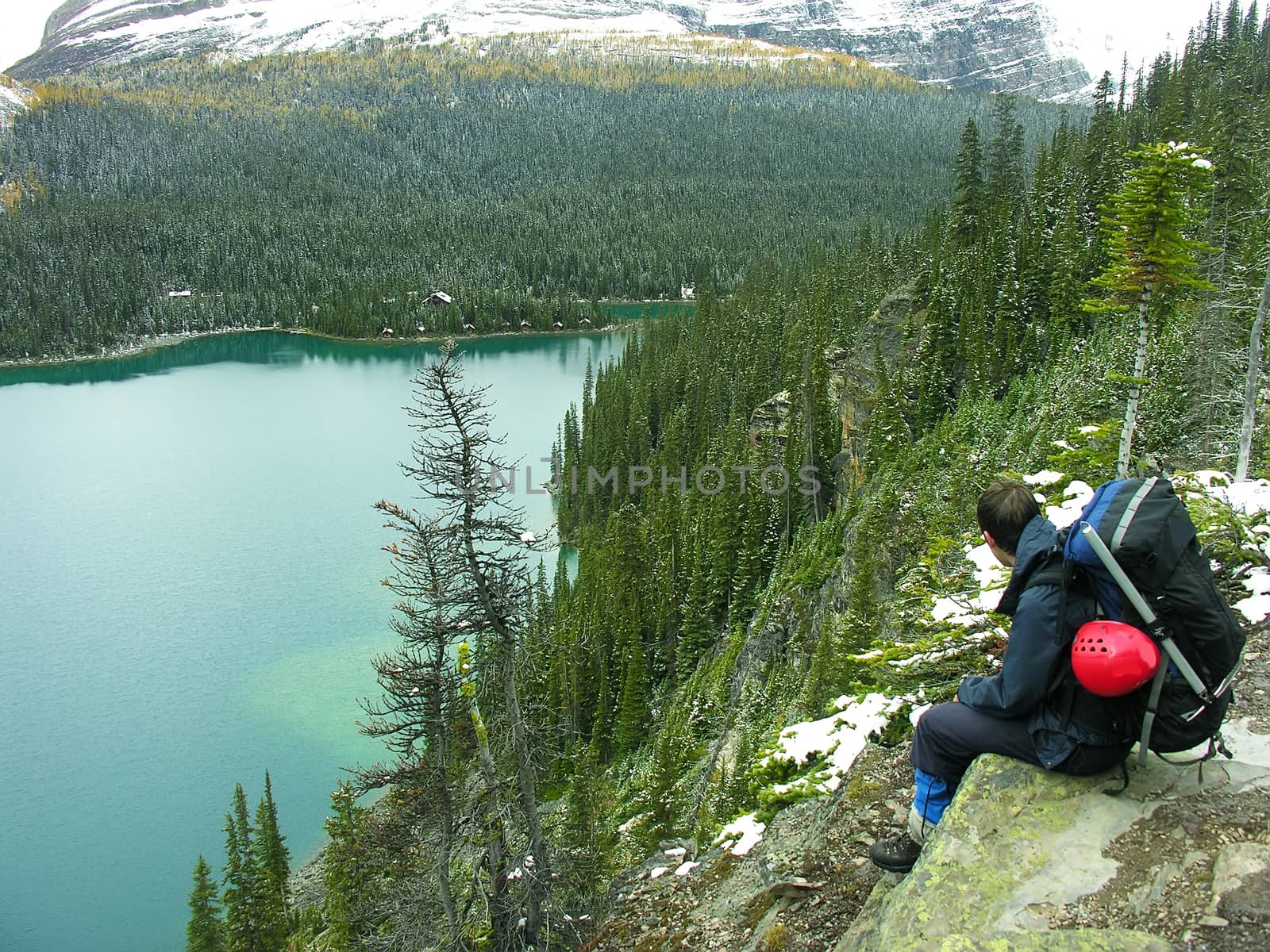 Hiker admiring Lake O'Hara, Yoho National Park, British Columbia, Canada