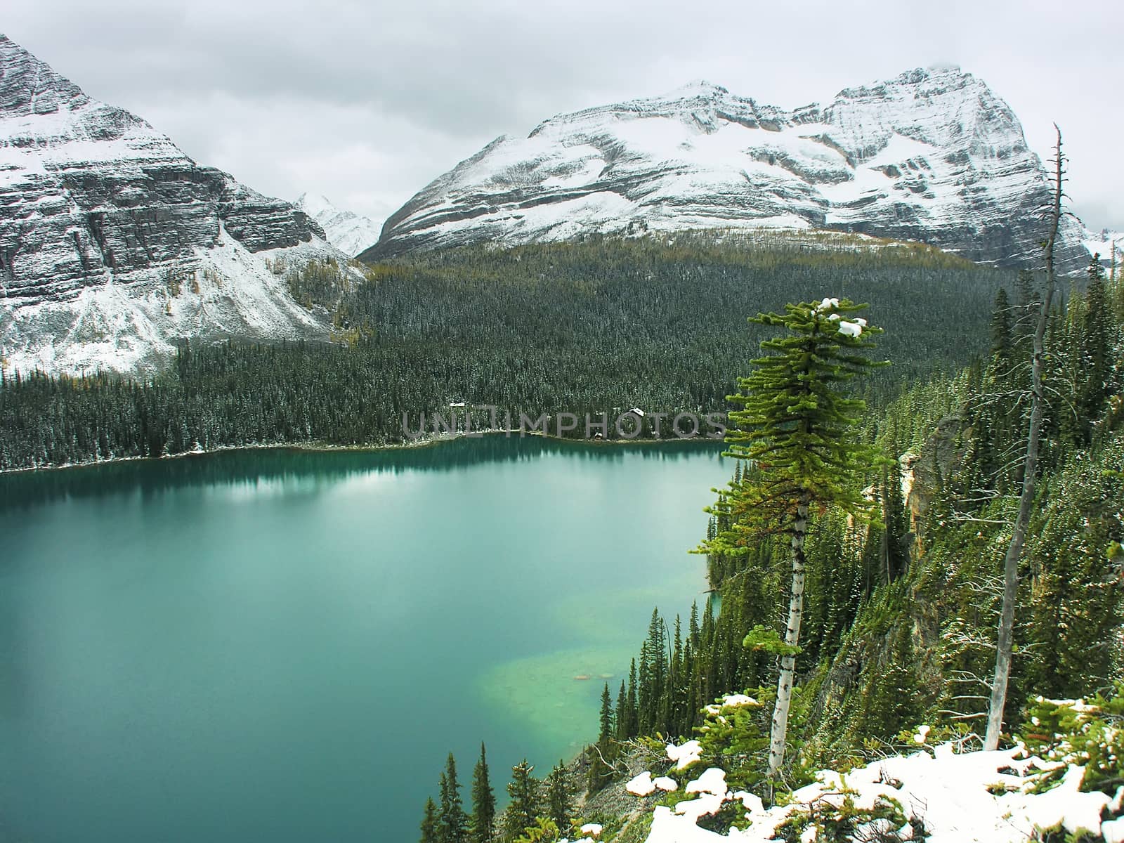 Lake O'Hara, Yoho National Park, British Columbia, Canada by donya_nedomam