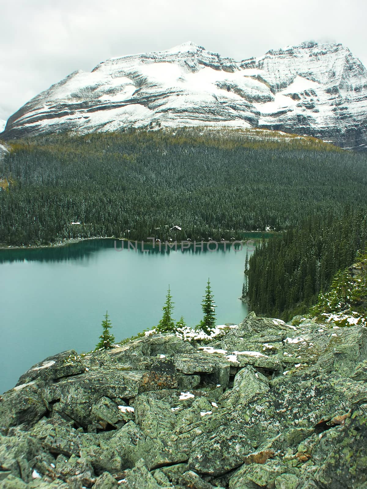 Lake O'Hara, Yoho National Park, British Columbia, Canada by donya_nedomam