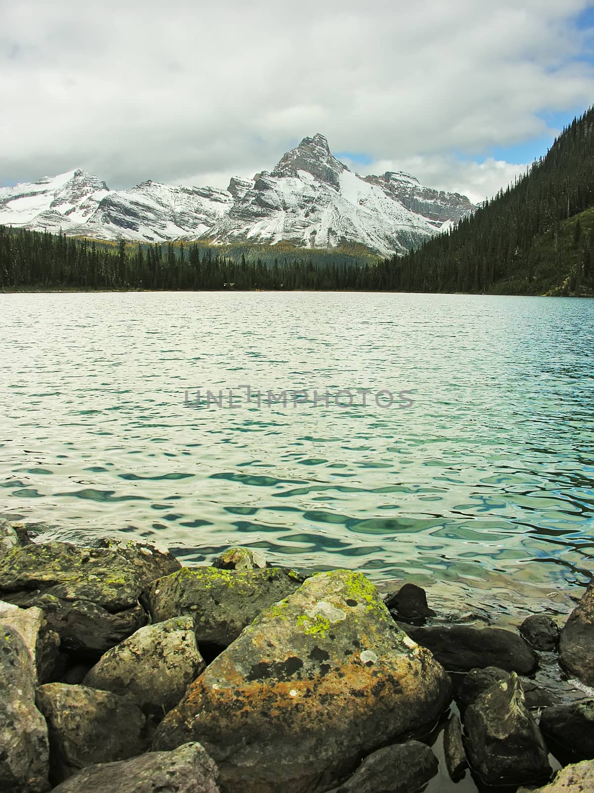 Lake O'Hara, Yoho National Park, British Columbia, Canada by donya_nedomam