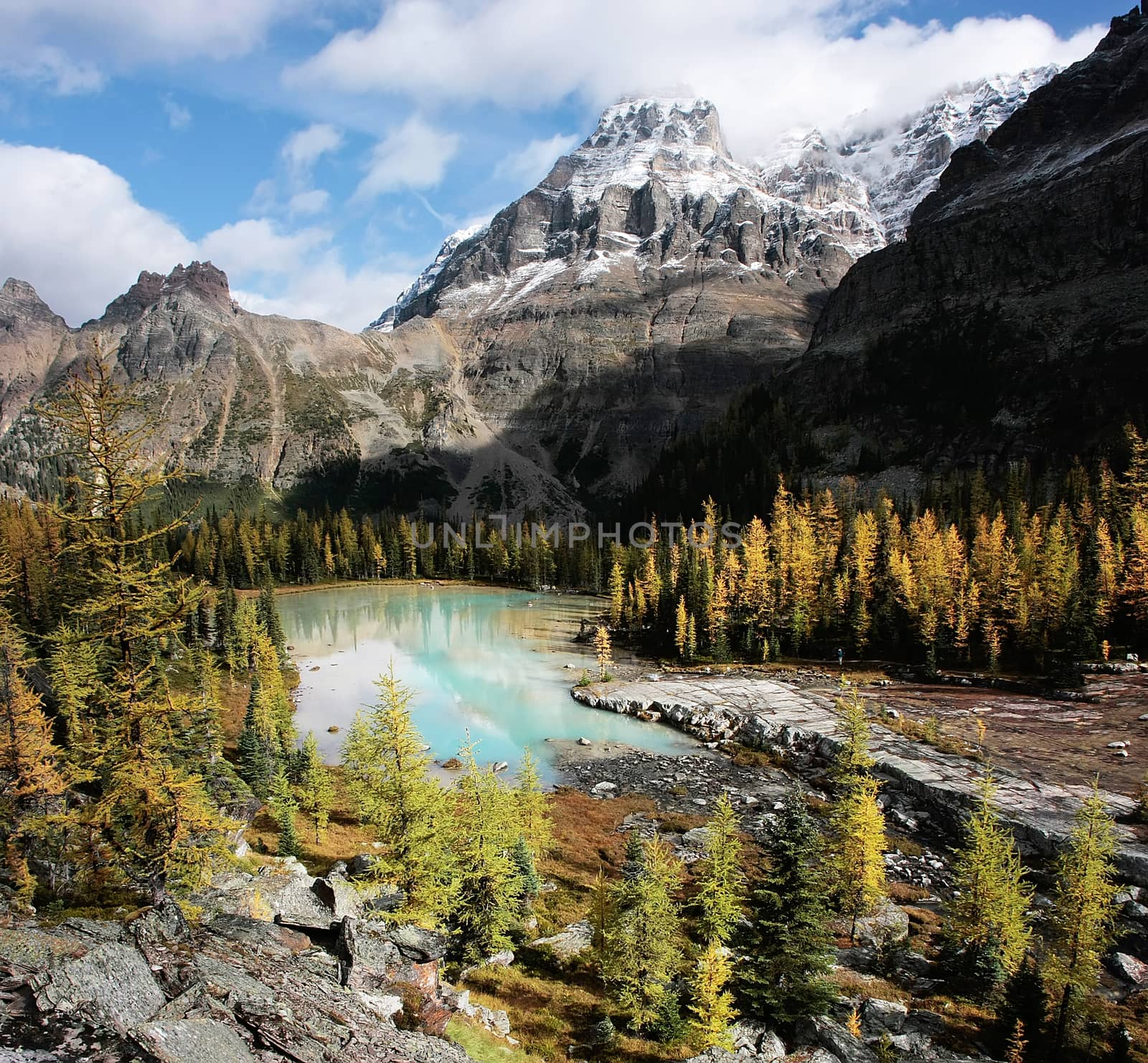 Mount Huber and Opabin Plateau, Yoho National Park, British Columbia, Canada