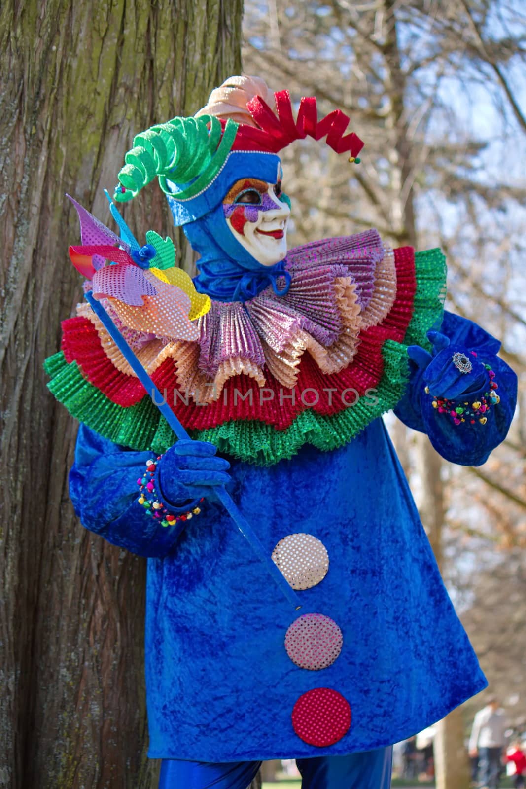 Colorful clown at the 2014 venetian carnival of Annecy, France